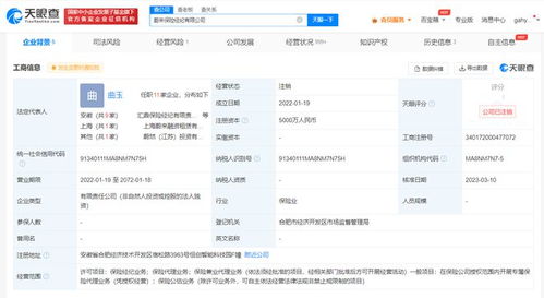 蔚來保險(xiǎn)經(jīng)紀(jì)公司注銷，聚焦主業(yè)還是戰(zhàn)略調(diào)整？